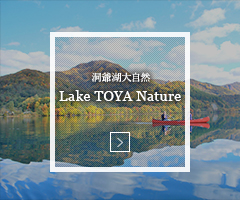 洞爺で育ったワインのお話 洞爺で育ったワインのお話