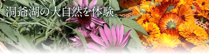 洞爺湖の大自然を体験。