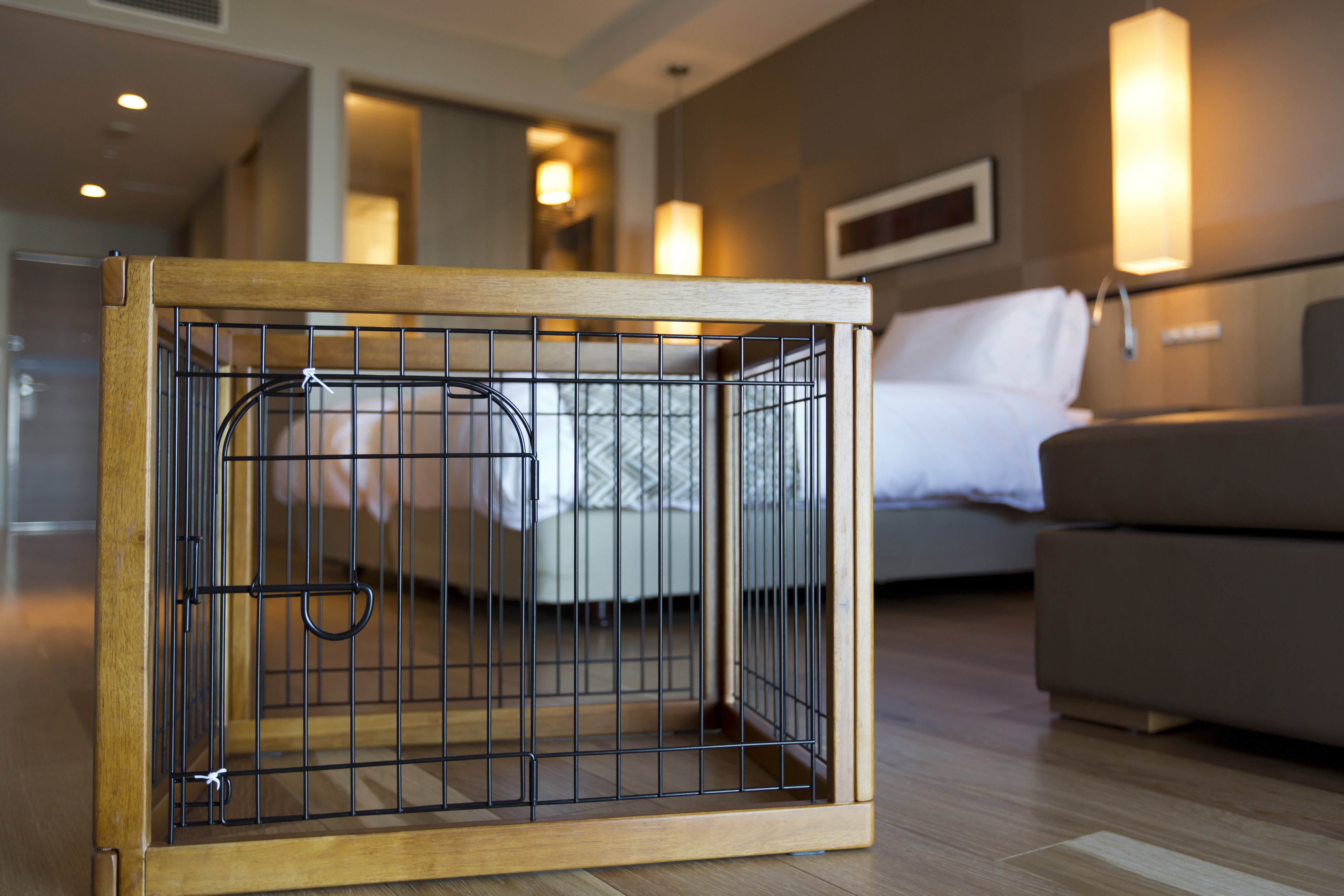 ペット同伴について ペット同伴について