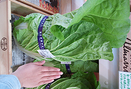 近くのストアではお目にかかれないも掘り出し物も。