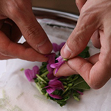 Herbal Ranch　ハーバルランチ