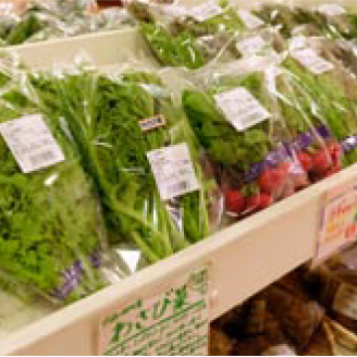 とうや・水の駅